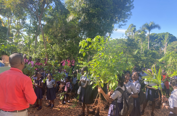 Alumnos plantan árboles en el marco de proyecto de reforestación de la Universidad Itinerante de la Resistencia, UNIR Haití
