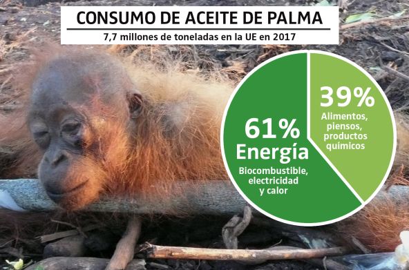 Fotomontaje sobre el consumo de aceite de palma en la UE en 2017