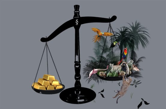 Balanza en la que se sopesa el oro frente a la selva, la cual sale perdiendo