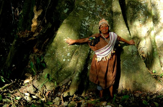 Guardiana de la selva