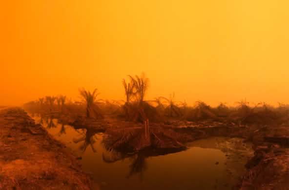 Incendio en la comunidad Puding, distrito Muaro Jambi, Sumatra, Septiembre 2019