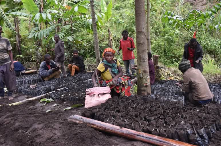 Mujeres campesinas en un vivero