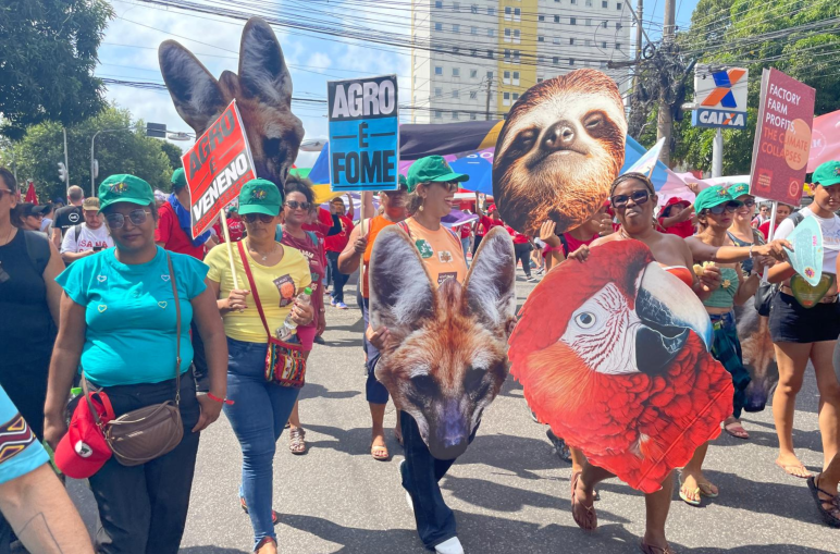 Manifestantes portan pancartas con imágenes de animales de la selva tropical