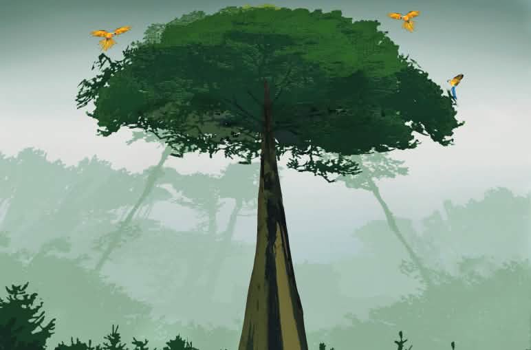 Ilustración de la Amazonía