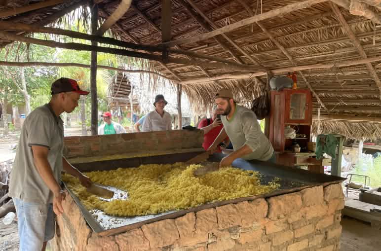 Dos hombres tuestan mandioca en una gran plancha cuadrada de metal