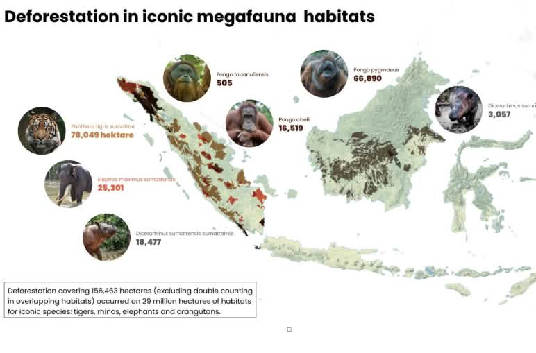 Mapa de Sumatra y Borneo con las áreas taladas