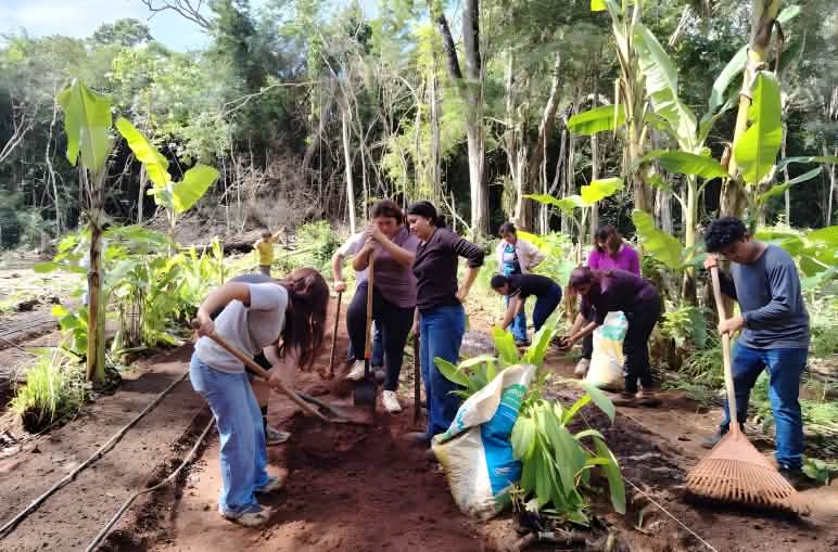 Un grupo de personas pertenecientes a la cooperativa Tu’úmben Ko’oben trabajando juntos en la elaboración de un huerto