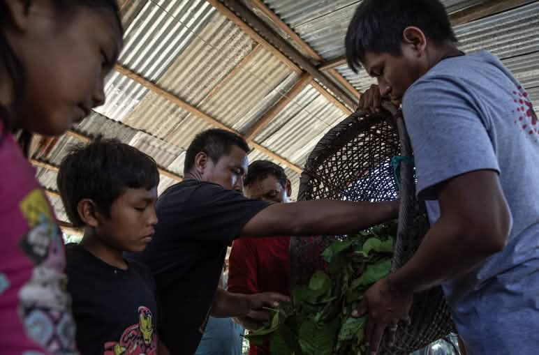 Varias personas alrededor de una persona que manipula plantas con un canasto
