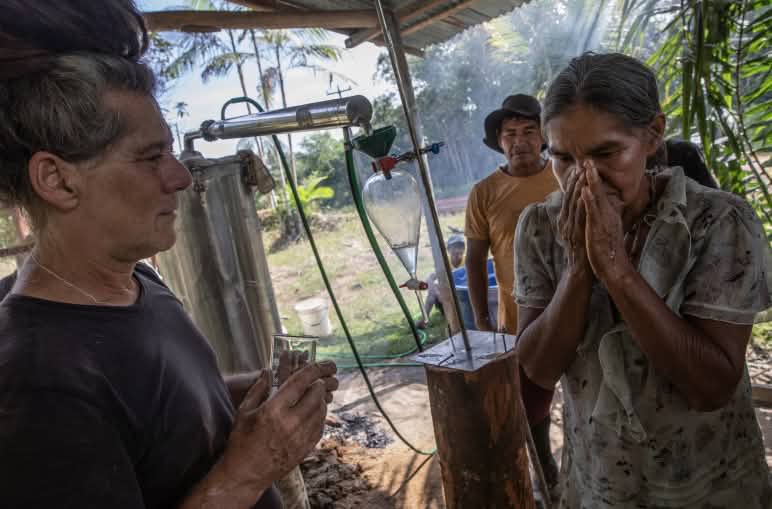 Una mujer indígena junto a un aparato destilador percibe el aroma de las plantas recién destiladas utilizando sus manos