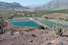 Piscinas de las empresas agrícolas en medio de la sequía por la producción del aguacate, cítricos y nogales en la comunidad de Calle Larga, Chincolco, Chile