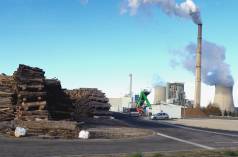 Central de biomasa al sur de Francia (Gardanne)