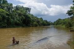 Igapo Project - Los Monos