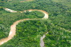 Un río atraviesa un bosque tropical en el Perú