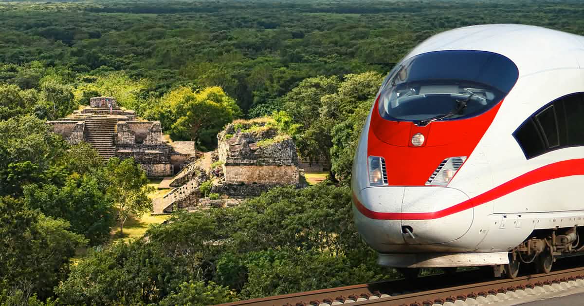 Tren Maya arrasará la selva en México - Salva la Selva