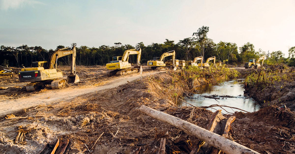 Resultado de imagen para CONSTRUCCION DE VIAS EN LOS BOSQUE S