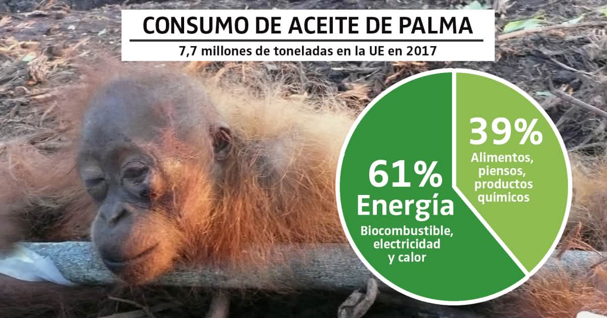 No al aceite de palma