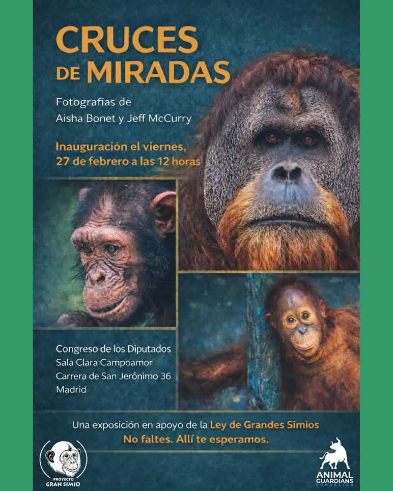 Cartel de la exposicion ‘Cruces de Miradas’ que se inaugura en el Congreso de los Diputados español el 27 de febrero 2026