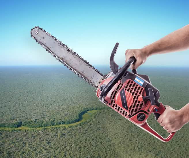 Fotomontaje: Motosierra en mano, al fondo se puede ver el paisaje característico del Gran Chaco Americano