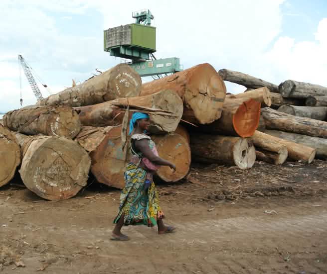 Troncos amontonados en el puerto de Kinshasa.