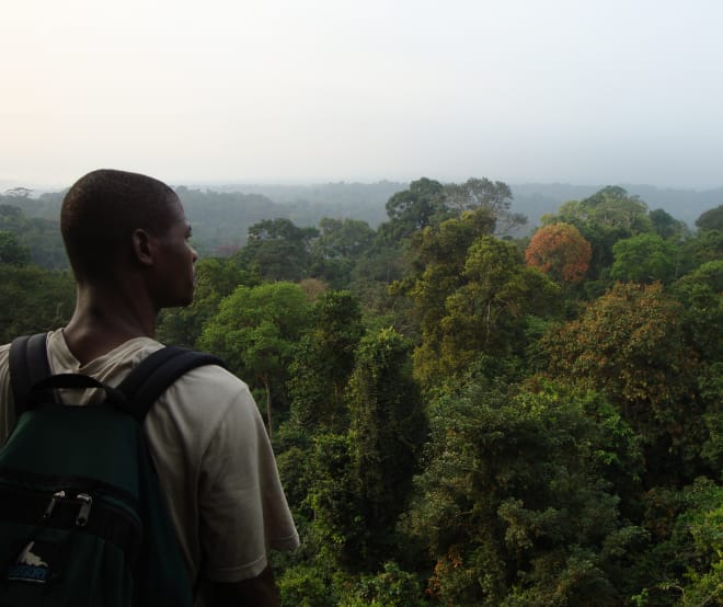Selva tropical al sur del Parque Nacional de Korup, Camerún