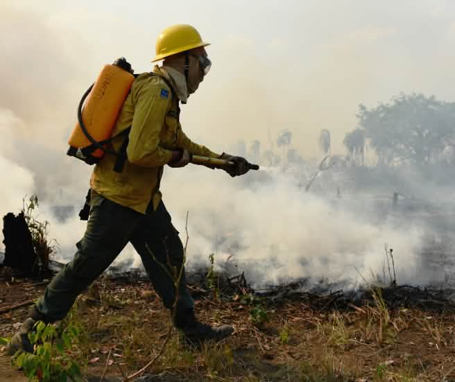 Una persona con vestimenta de protección frente al fuego y una mochila de agua a la espalda arroja agua sobre los restos de vegetación que arden en el suelo