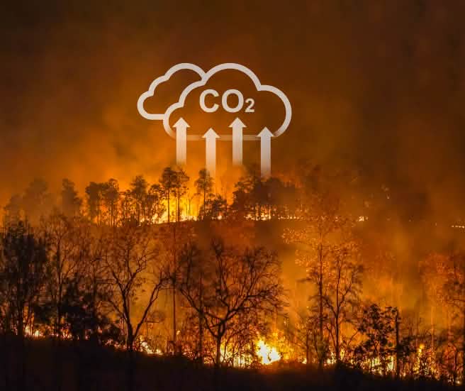 Incendio forestal con un gráfico superpuesto que indica el desprendimiento de CO2