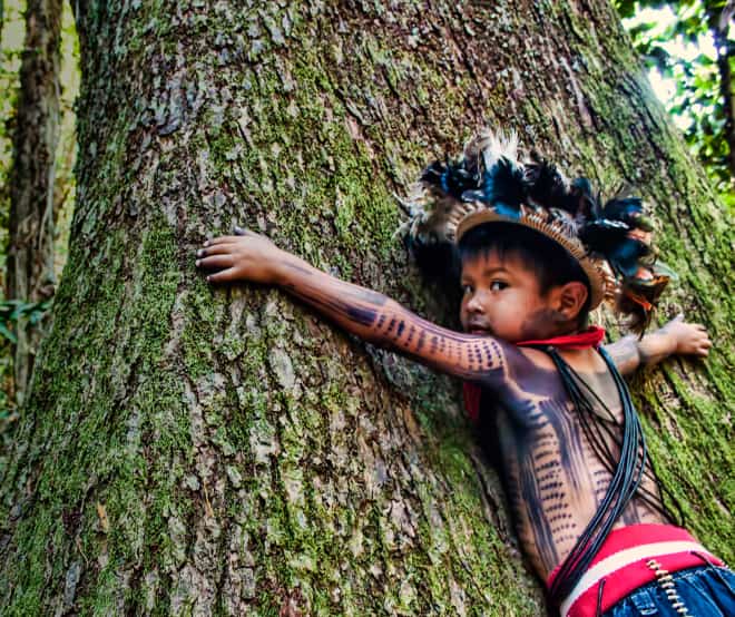 Niño abrazando un árbol