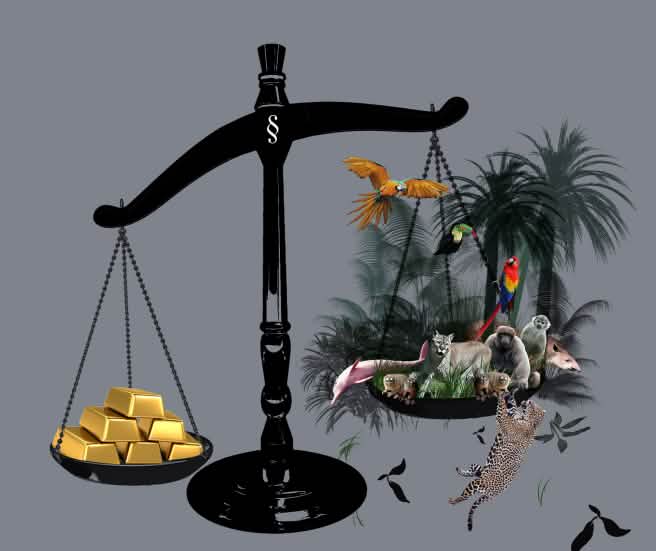 Balanza en la que se sopesa el oro frente a la selva, la cual sale perdiendo