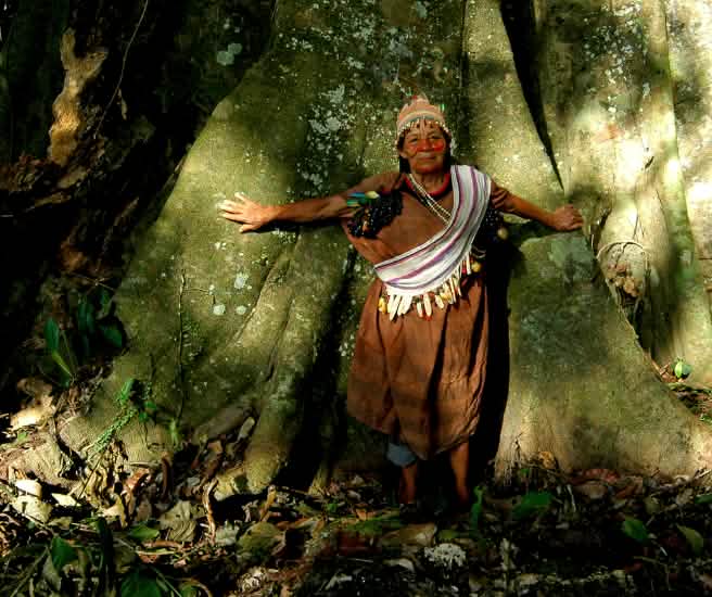 Guardiana de la selva