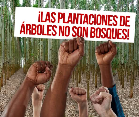 Collage del 21 de Septiembre, Día Internacional contra las Plantaciones de Árboles