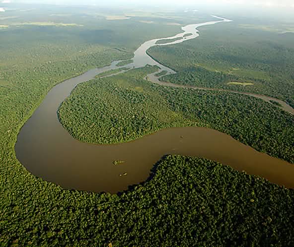 Un río se abre paso por la Amazonía