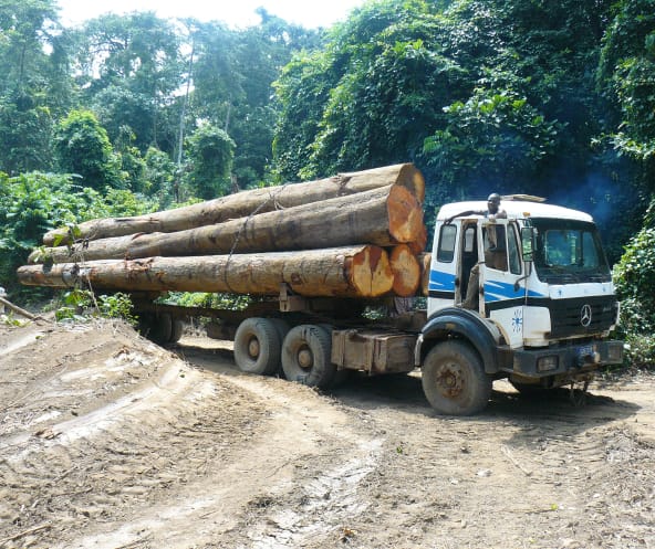 Camión cargado de madera