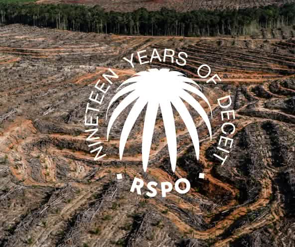 Collage con el sello de la Mesa Redonda de Aceite de Palma Sostenible RSPO sobre una superficie talada de selva tropical