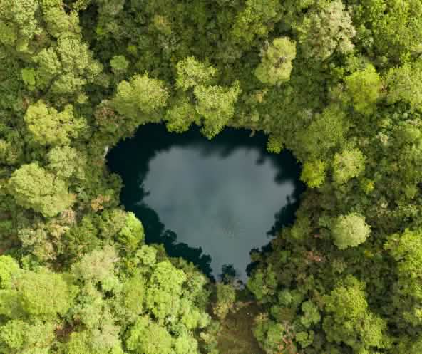 Una laguna en forma de corazón de aguas oscuras rodeada por una densa selva verde; vista desde arriba, se distingue claramente el contraste entre el agua y el bosque