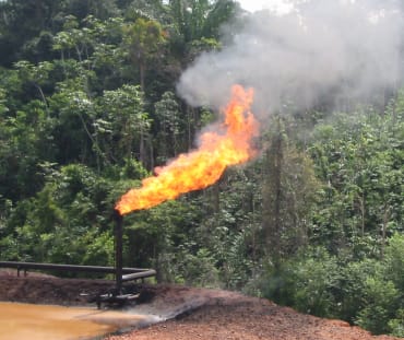 Degradación del medio ambiente debido a la producción de petróleo en Ecuador