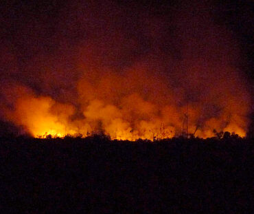 Incendio forestal