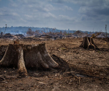 Incendio en el río Xingu, en Brasil