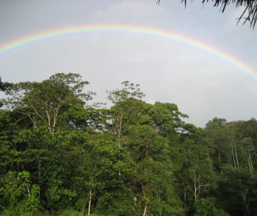 Un arcoiris sobre la reserva de biosfera Indio Maíz en Nicaragua