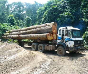 Camión cargado de madera