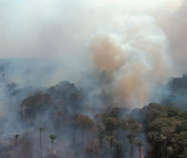 Vista aérea de una selva en llamas