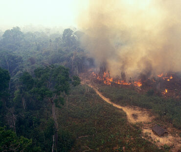 Fuego en la Amazonía