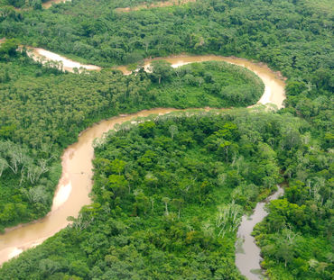 Un río atraviesa un bosque tropical en el Perú