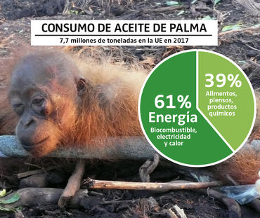 Fotomontaje sobre el consumo de aceite de palma en la UE en 2017
