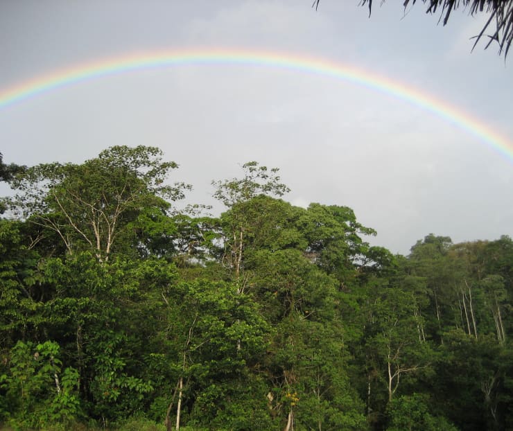 Los Chimalapas en México Salva la Selva