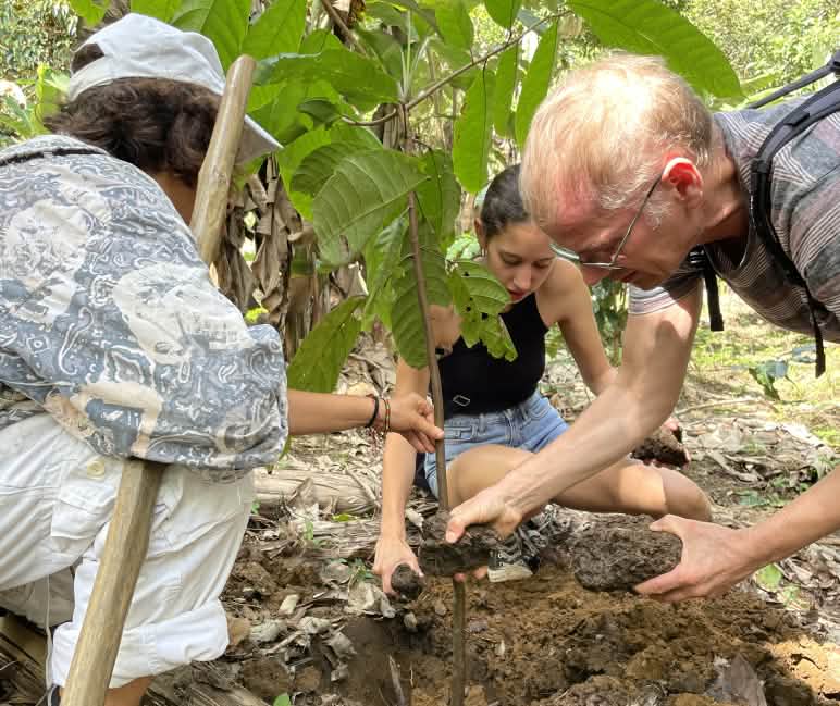 Durante una visita de Salva la Selva, plantamos árboles juntos Tres personas plantan un árbol de cacao en la selva tropical