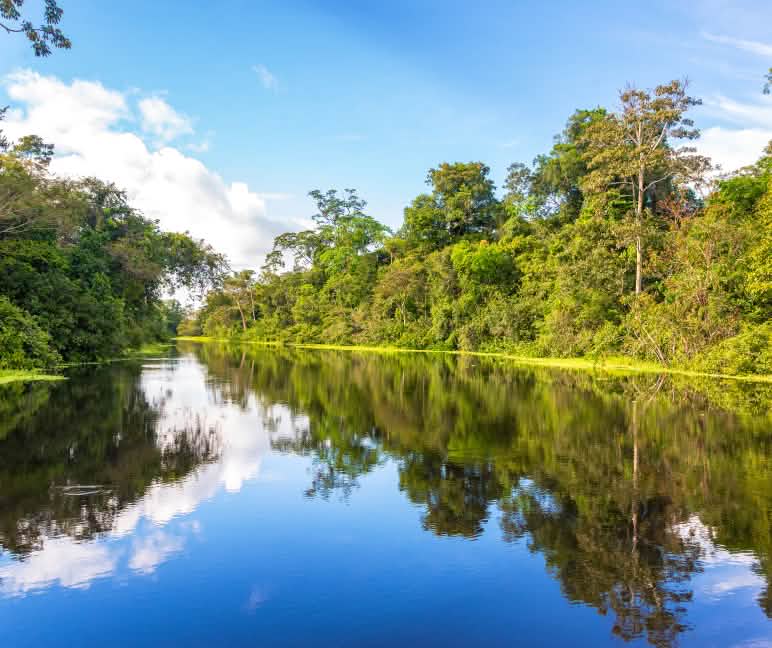 A orillas del Río Yanayacu, cerca de Iquitos, Perú