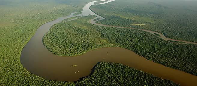 Un río se abre paso por la Amazonía