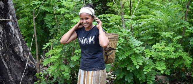 Mujer recolecta semillas de árbol en Filipinas
