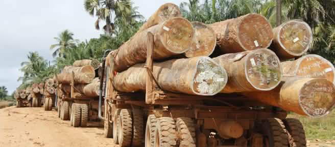 Camión transporta troncos en Liberia
