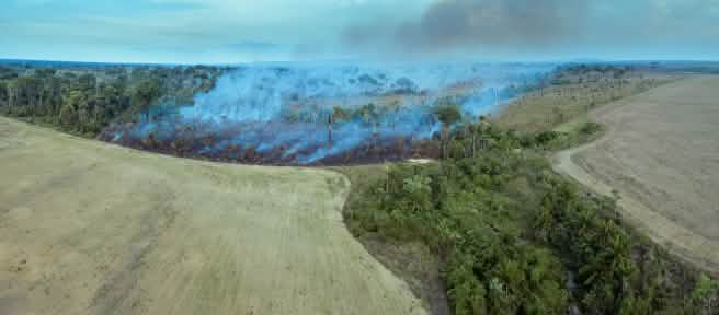 En la imagen se aprecia cómo la deforestación masiva por tala y quema abre paso a nuevos monocultivos